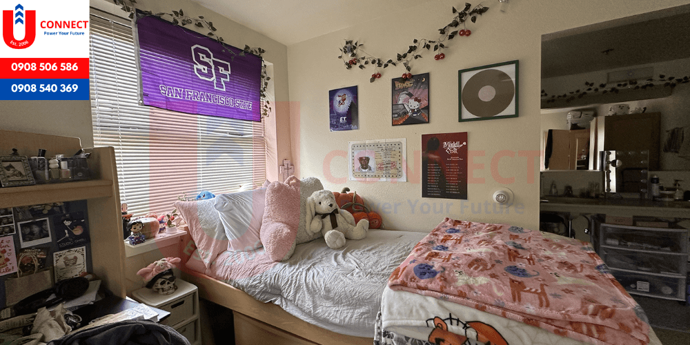 Đại học San Francisco State University, bang California – Mỹ